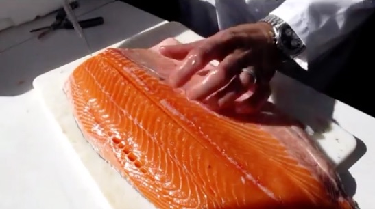 Salmon texture analysis