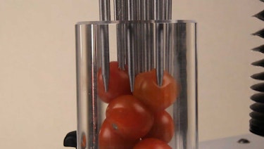 Produce | Texture Technologies