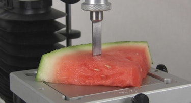 https://texturetechnologies.imgix.net/images/industries/food/produce-watermelon.jpg?h=250&w=375&fit=crop